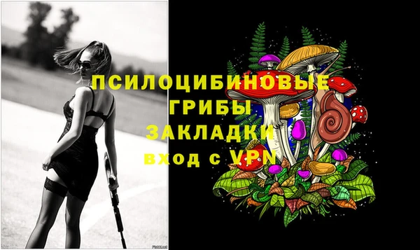 сатива Магадан