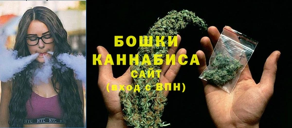 ECSTASY Михайлов